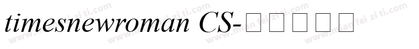 timesnewroman CS字体转换